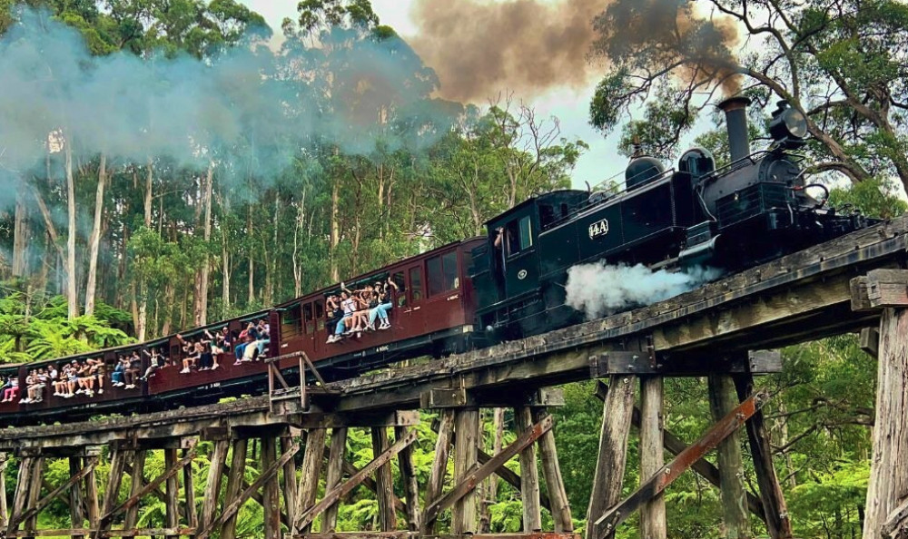 Puffing Billy Steam Train Tour