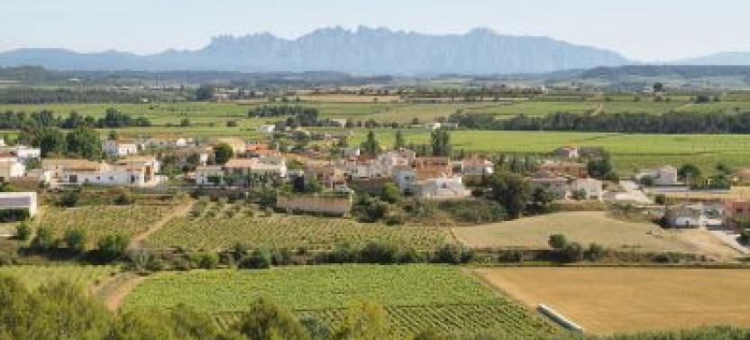 Private Traditional Food & Wine Day Trip from Barcelona, photo 2 of 3