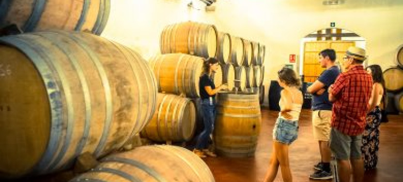 Private Cava and Wine Day Trip from Barcelona, photo 2 of 4