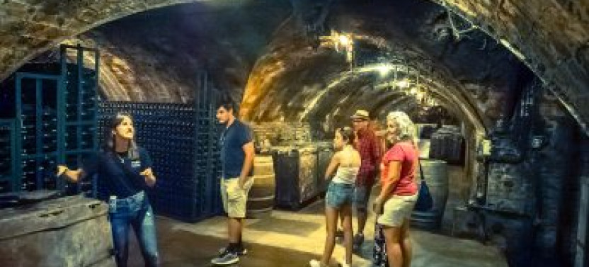 Private Cava and Wine Day Trip from Barcelona, photo 3 of 4