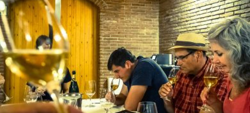 Private Cava and Wine Day Trip from Barcelona, photo 4 of 4