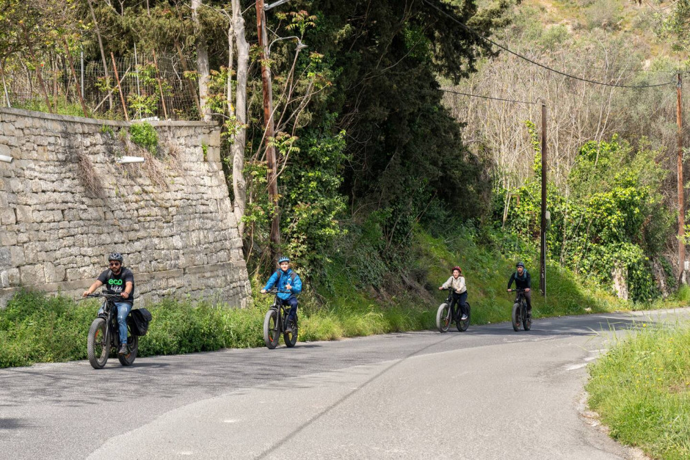 Heraklion E-bike - Full day - Knossos - Olive oil factory & Wine Tasting