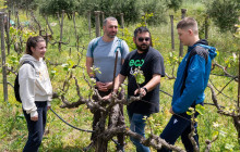 Eco Bike Greece18