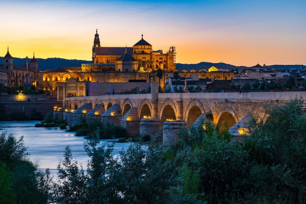 From Malaga: Private Cordoba Daytrip