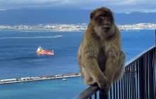 YANNAT TRAVEL GROUP1