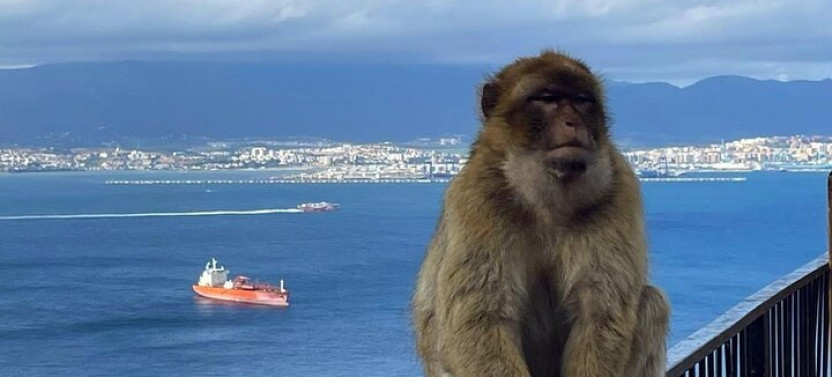 Gibraltar Private Daytrip from Malaga