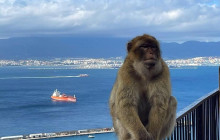 YANNAT TRAVEL GROUP2
