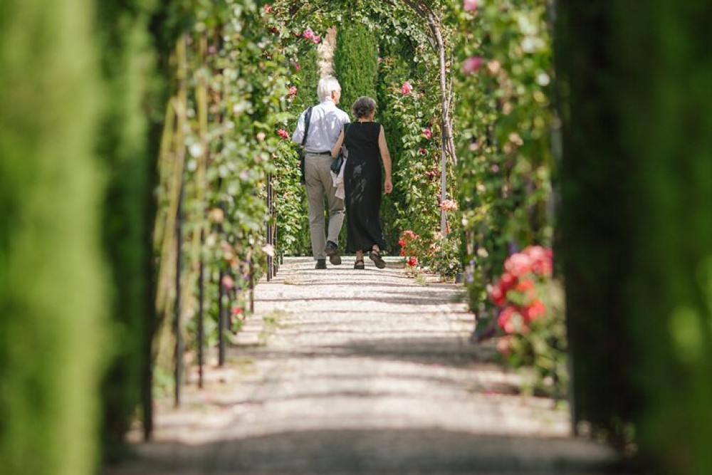 Private Guided Tour to Alhambra with Tickets to City Monuments