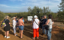 YANNAT TRAVEL GROUP2