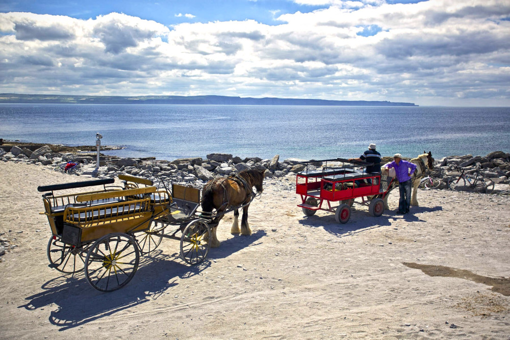Aran Islands (Inisheer), Cliffs of Moher Cruise & Burren Tour