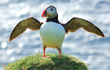 Ireland Wild Escapes9