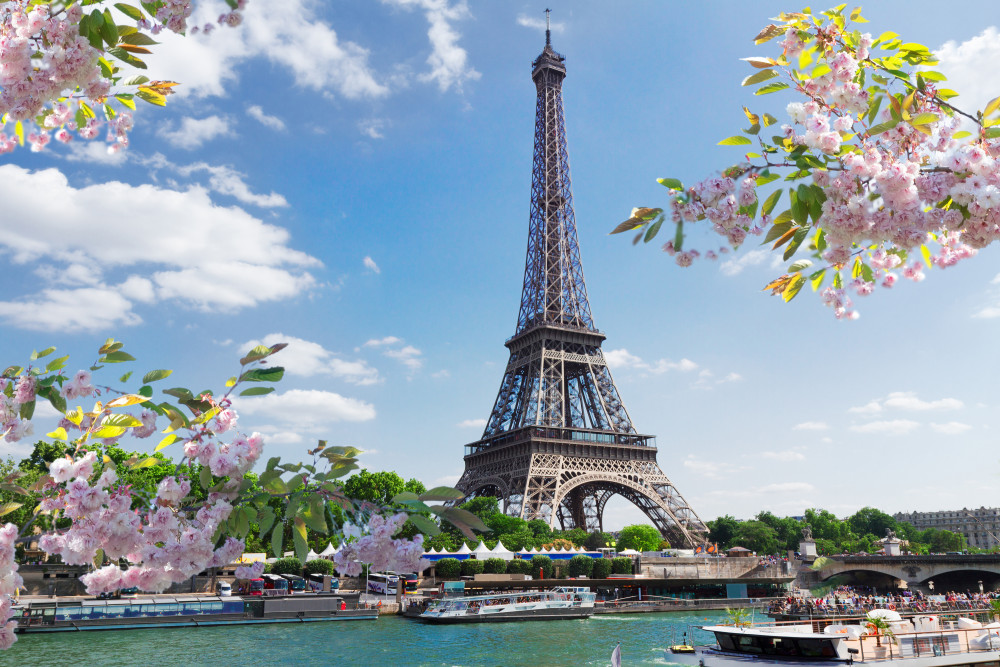 Private Driver In Paris Excursion from Le Havre Port