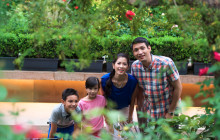 Discova Day Tours and Activities5
