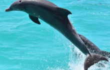 Sebago Watersports14