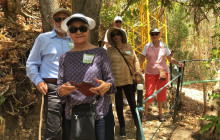 Greenway Nature Tours533