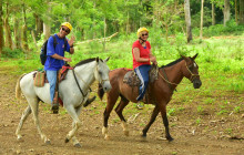 Greenway Nature Tours11