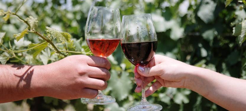 Wineries & Art Tour from Taos
