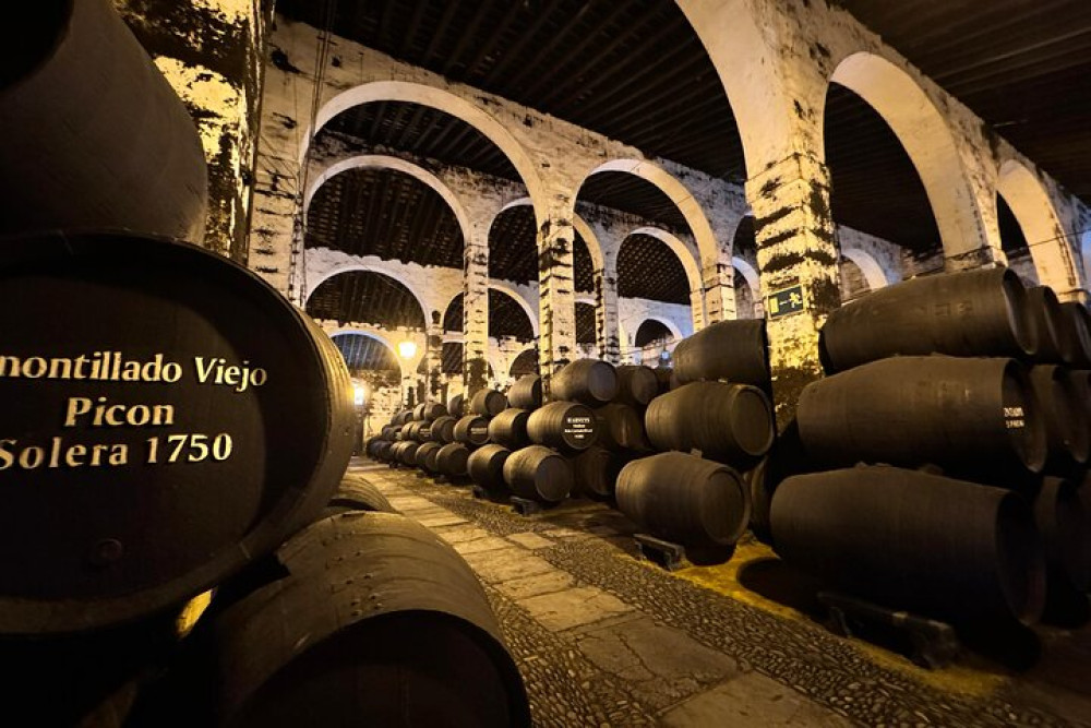 Cadiz and Jerez: Private Daytrip from Marbella