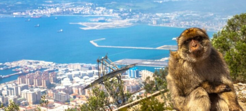 Gibraltar Guided Private Tour
