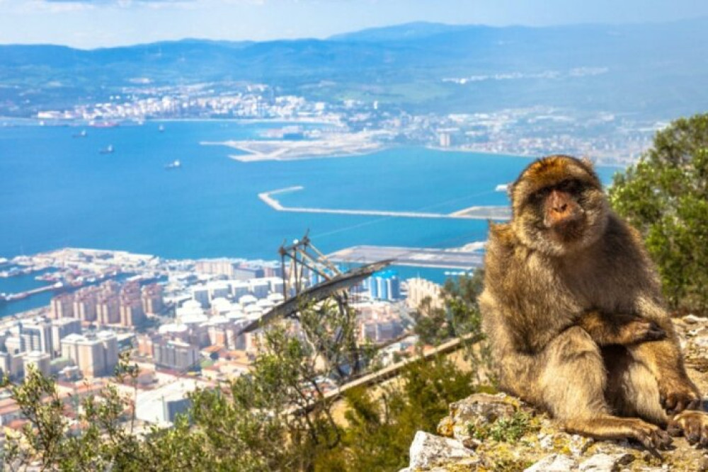 Gibraltar Guided Private Tour