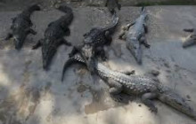 Fun Tours Jamaica3