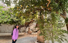 YANNAT TRAVEL GROUP6