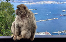 YANNAT TRAVEL GROUP2