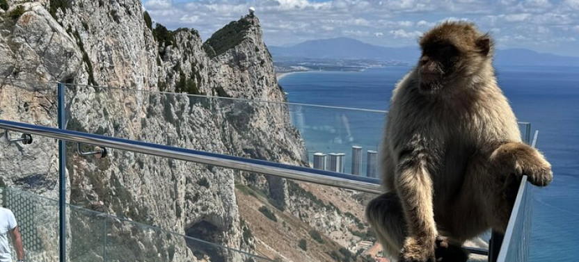 Gibraltar Private Tour from Marbella