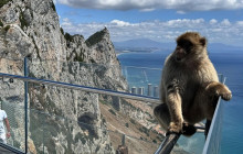 YANNAT TRAVEL GROUP1