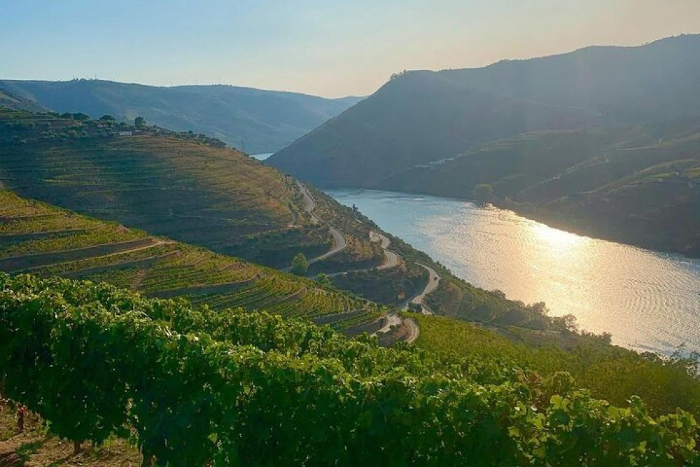 Full-Day Private Tour Valle Del Duero from Porto