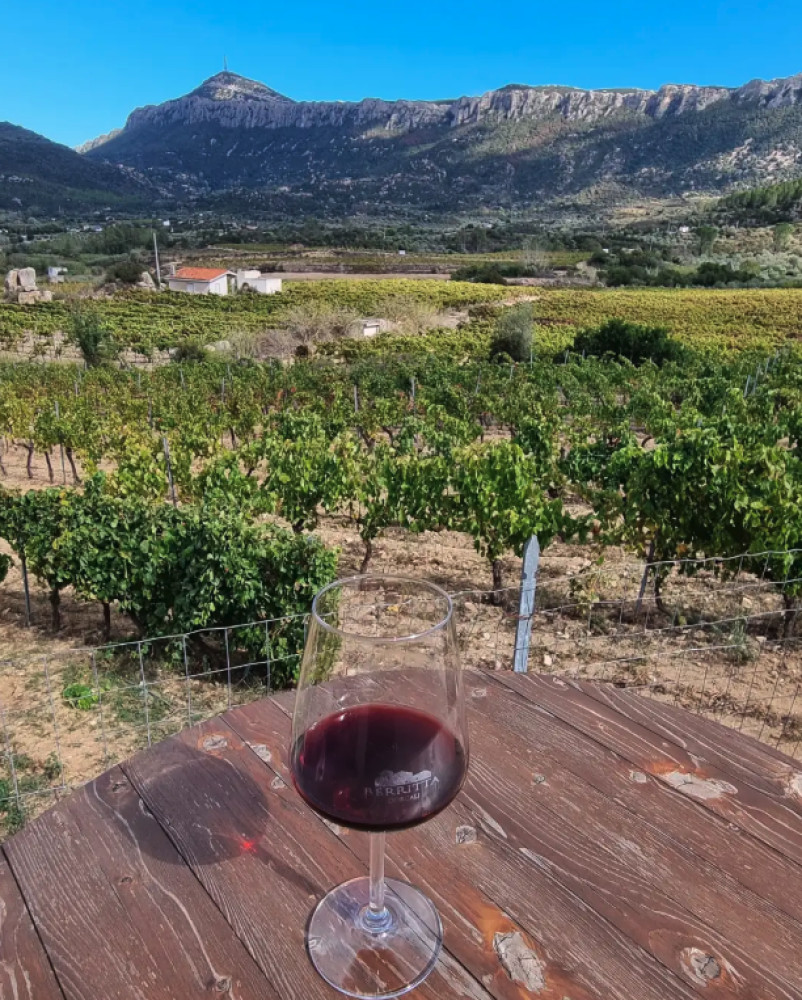 Taste of Sardinia: Bees, Cheese and Wine