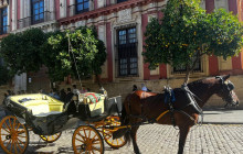 YANNAT TRAVEL GROUP9