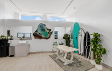 Iguana Surf9
