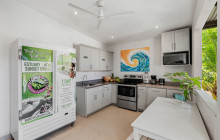 Iguana Surf10