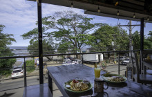 Iguana Surf9