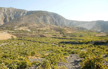 Santorini i-Land Tours7
