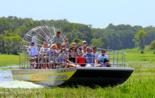 Gray Line Orlando1