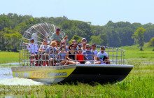 Gray Line Orlando7