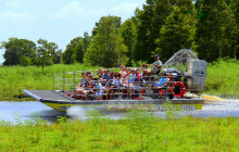 Gray Line Orlando10