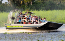 Gray Line Orlando2