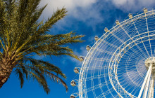 Gray Line Orlando3