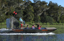 Gray Line Orlando8