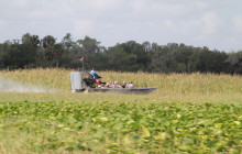 Gray Line Orlando10