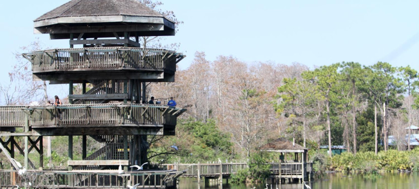 Airboat Ride and Gatorland Park Combo