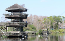 Gray Line Orlando3