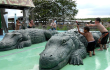 Gray Line Orlando4