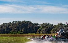 Gray Line Orlando6