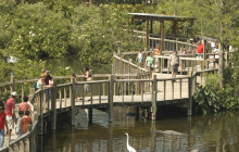 Gray Line Orlando10