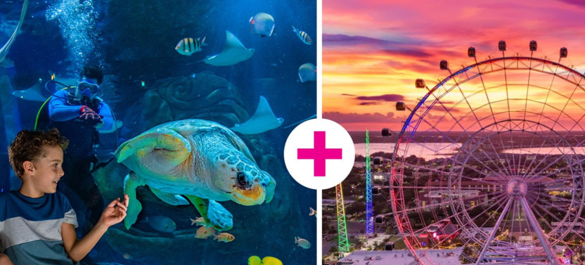 The Orlando Eye & SEA LIFE Orlando Aquarium Combo Ticket