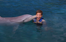 Delphinus2